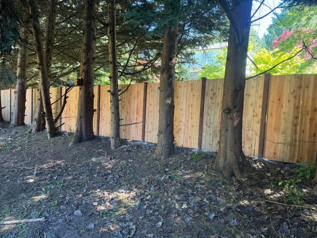 Backyard Cedar Fence Replacement in South Sound - project photo 2
