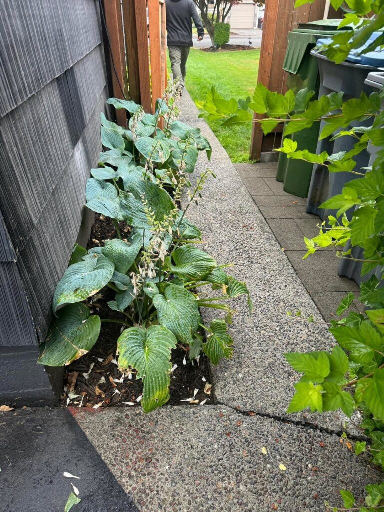 Front Entry, Walkway, and Driveway Concrete Upgrade – concrete driveways in South Sound